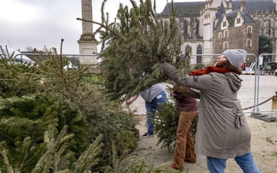 Où déposer son sapin de Noël dans Nantes ?