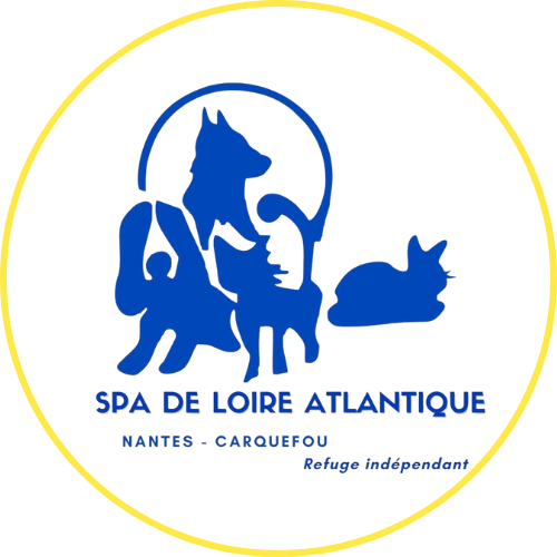 logo spa association