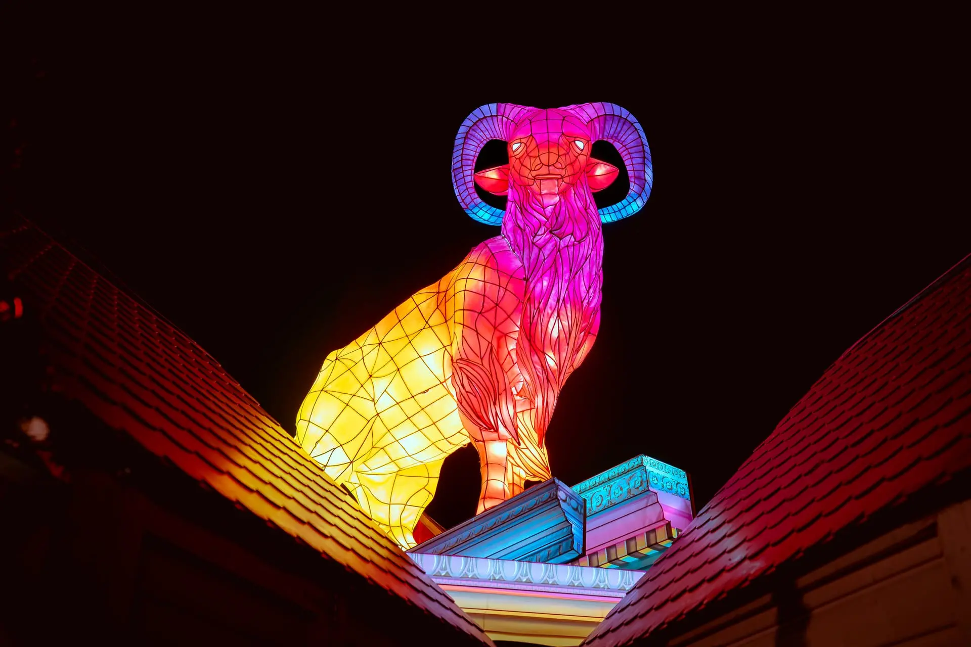 Animal lumineux décoration de Noël Nantes